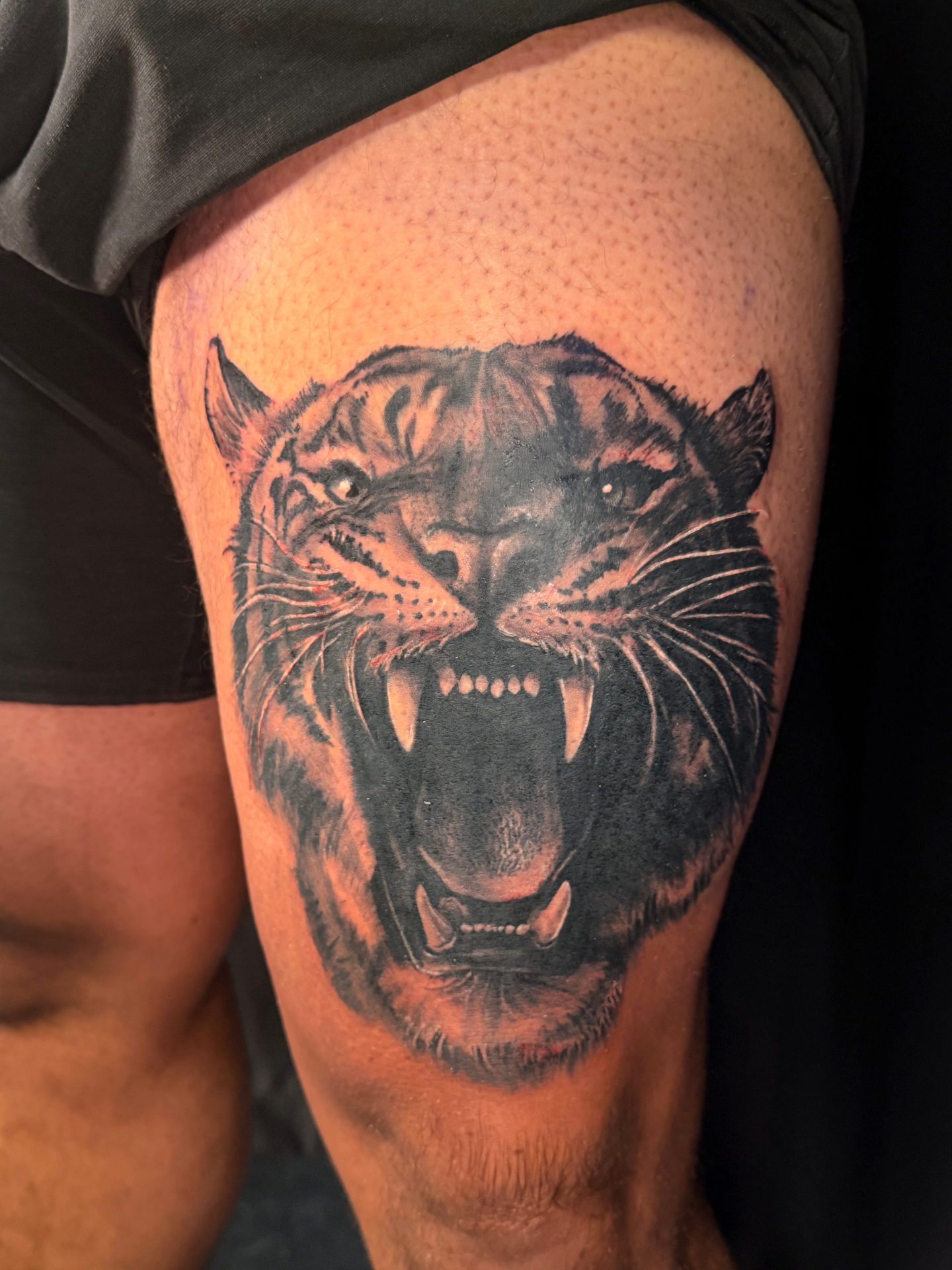 Black and grey roaring panther head thigh tattoo