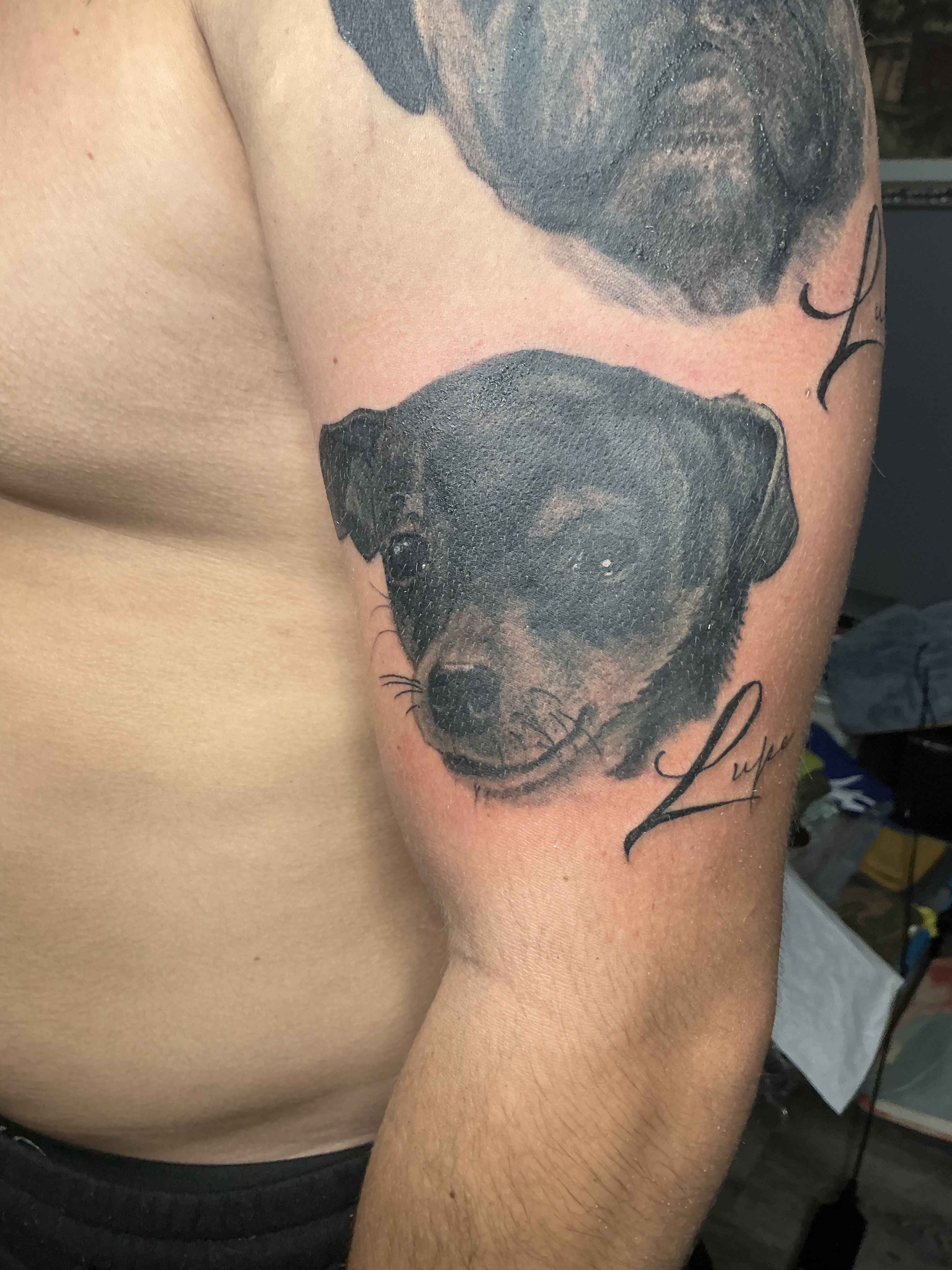 Small black and grey torso tattoo