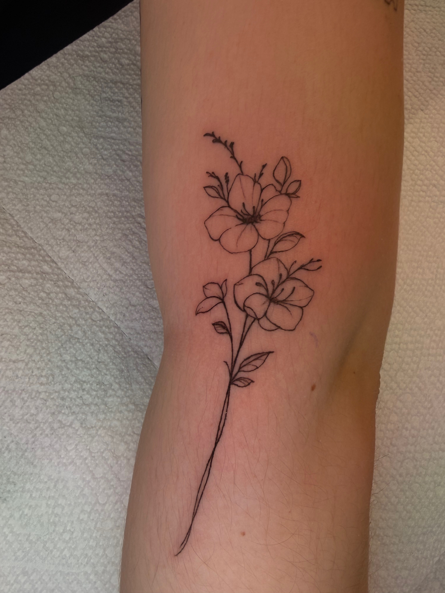 Fine line floral stem forearm tattoo