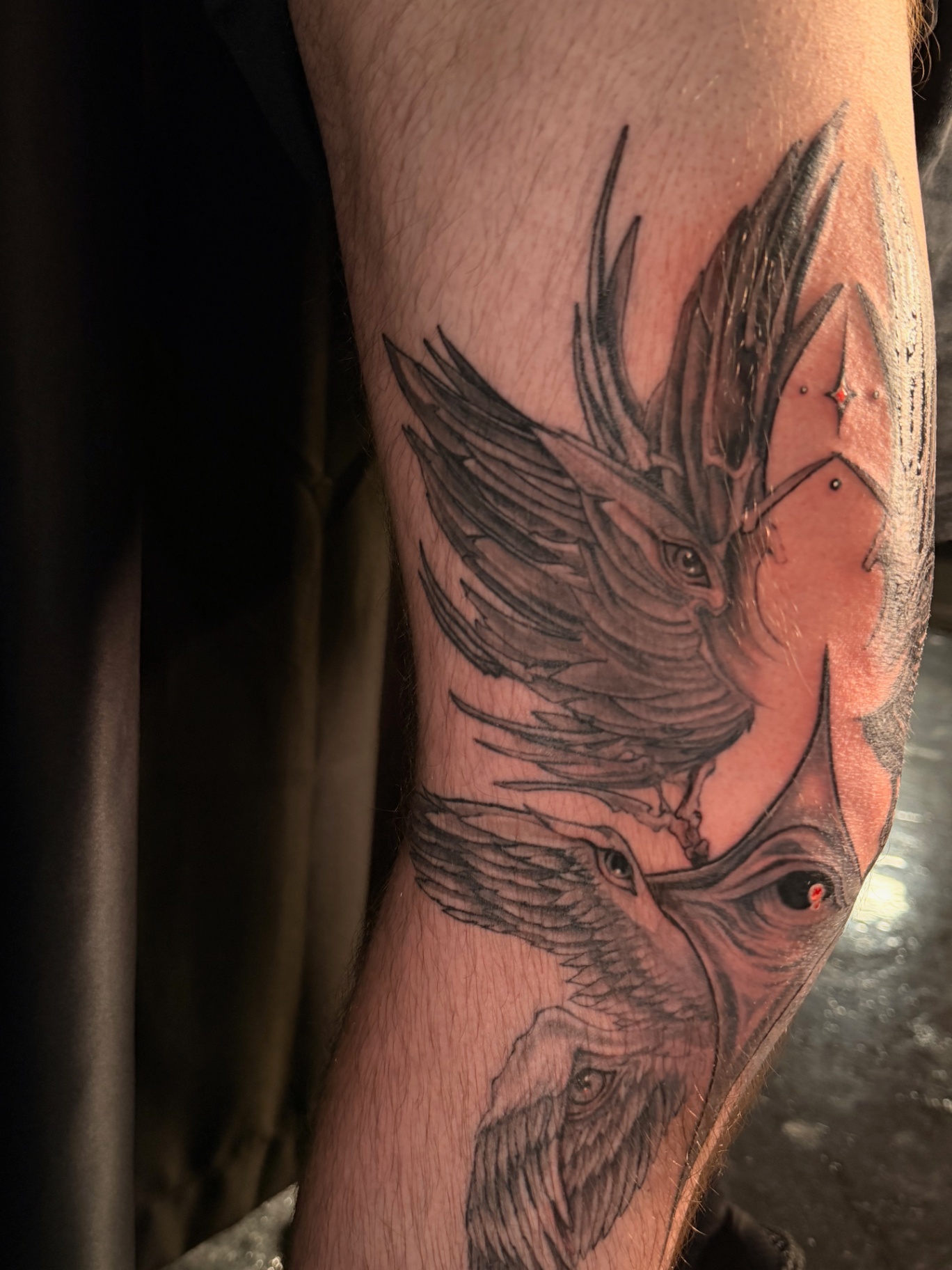 Black and grey phoenix and eagle leg tattoo detail