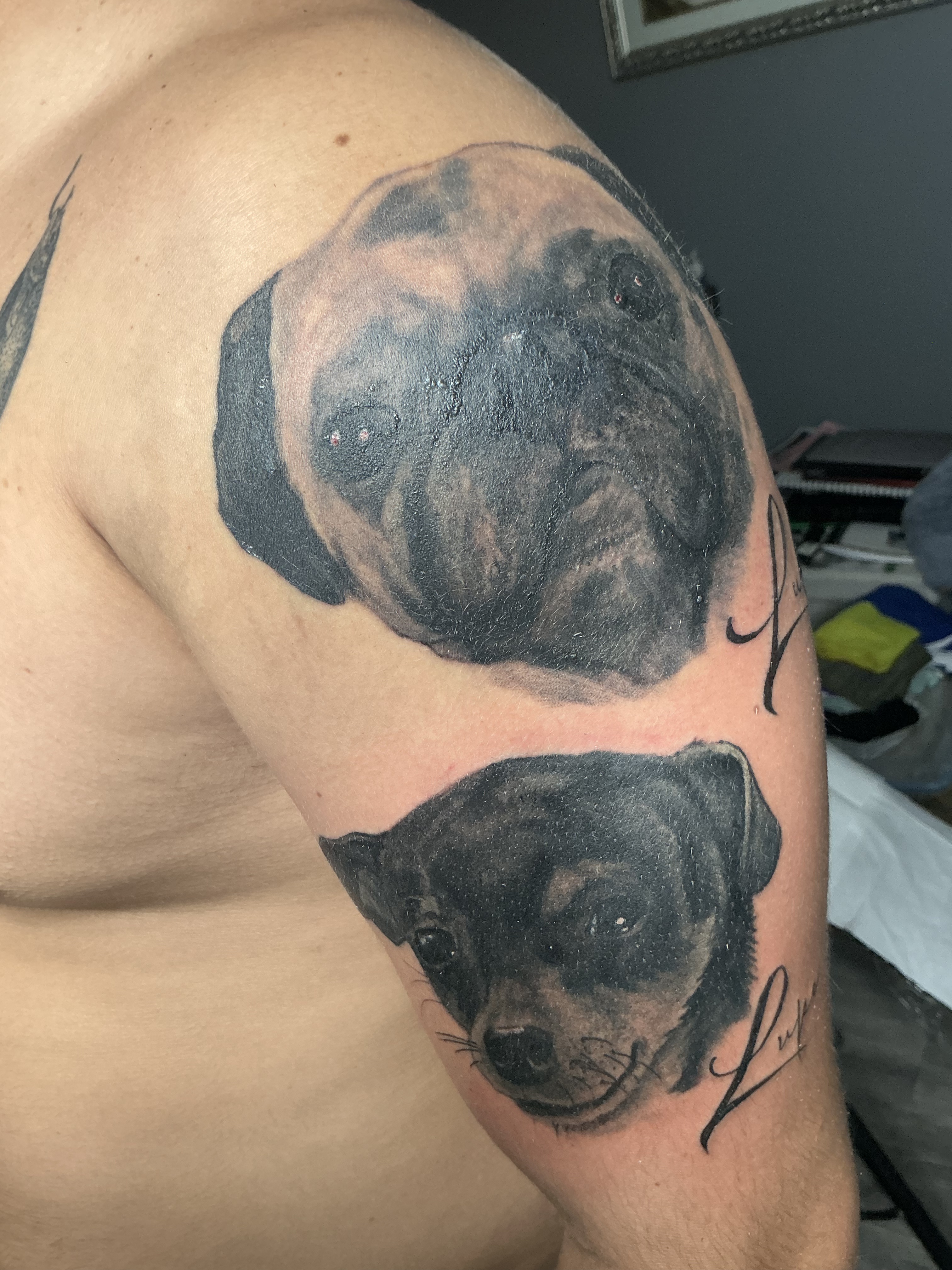 Black and grey torso tattoo