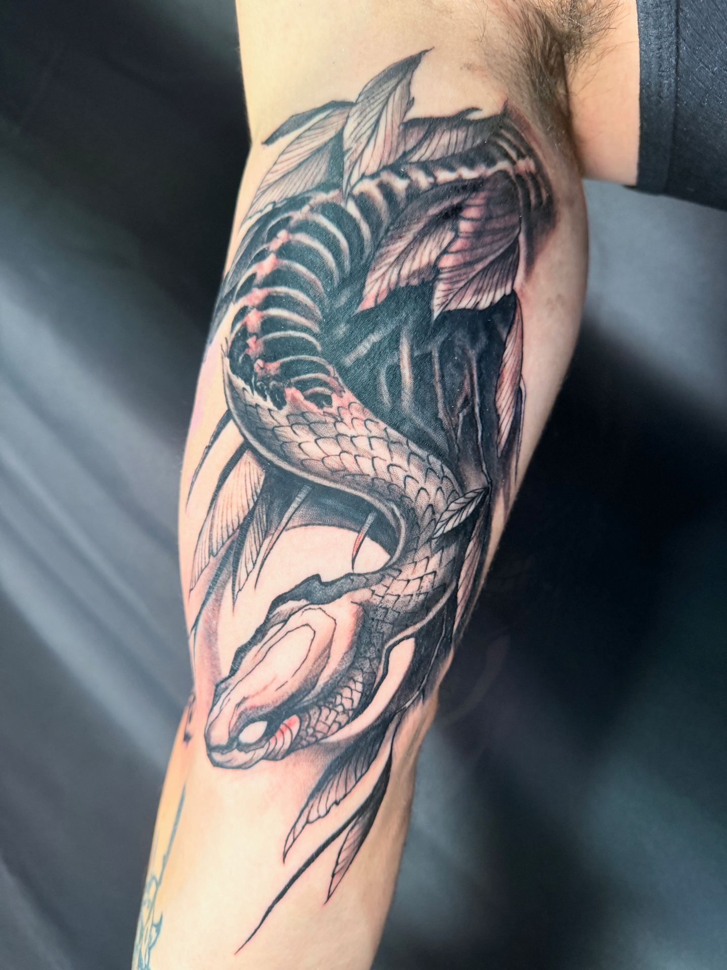 Black and grey ornamental fish ribcage tattoo with flowing fins