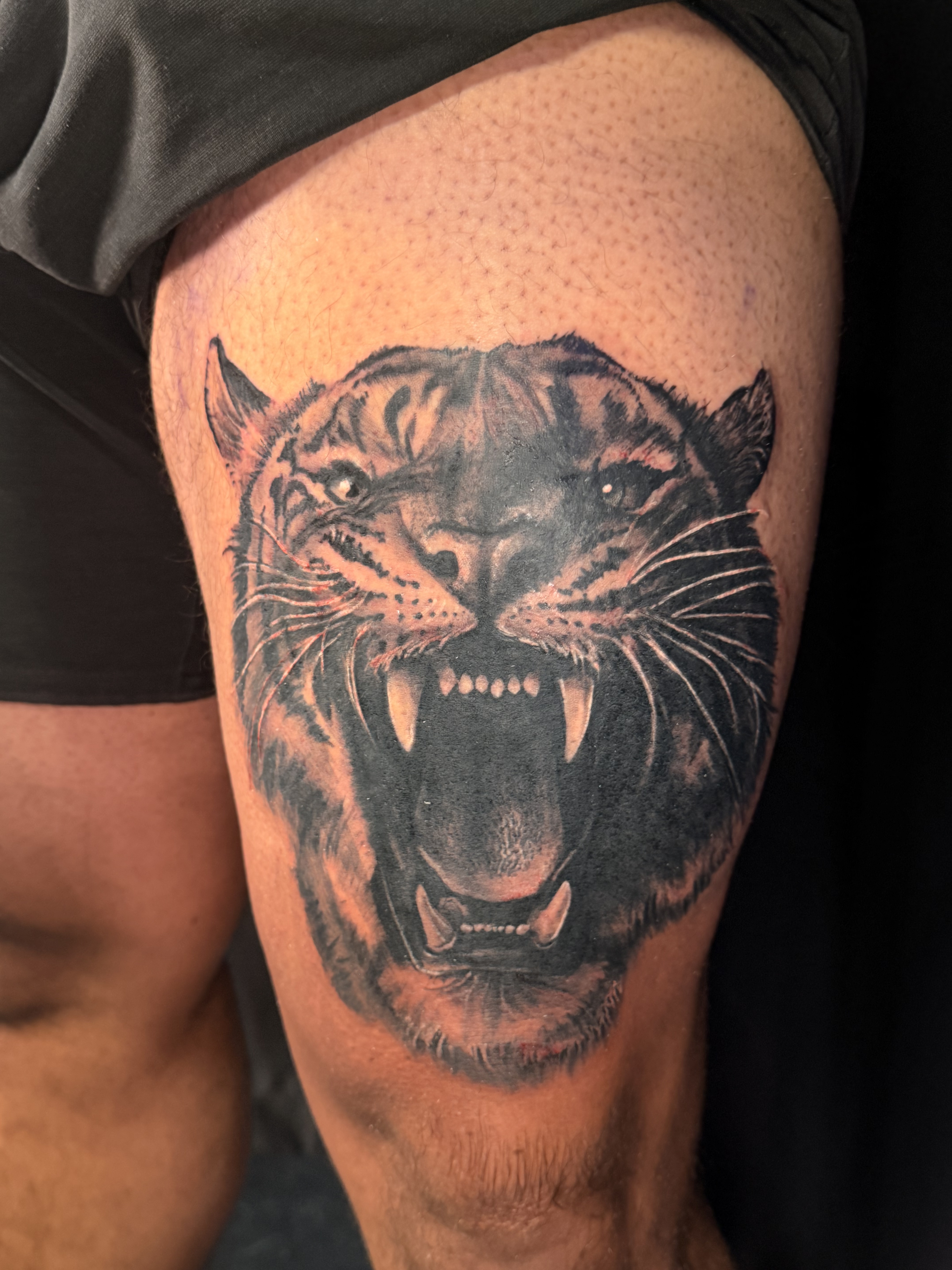 Roaring black and grey panther thigh tattoo