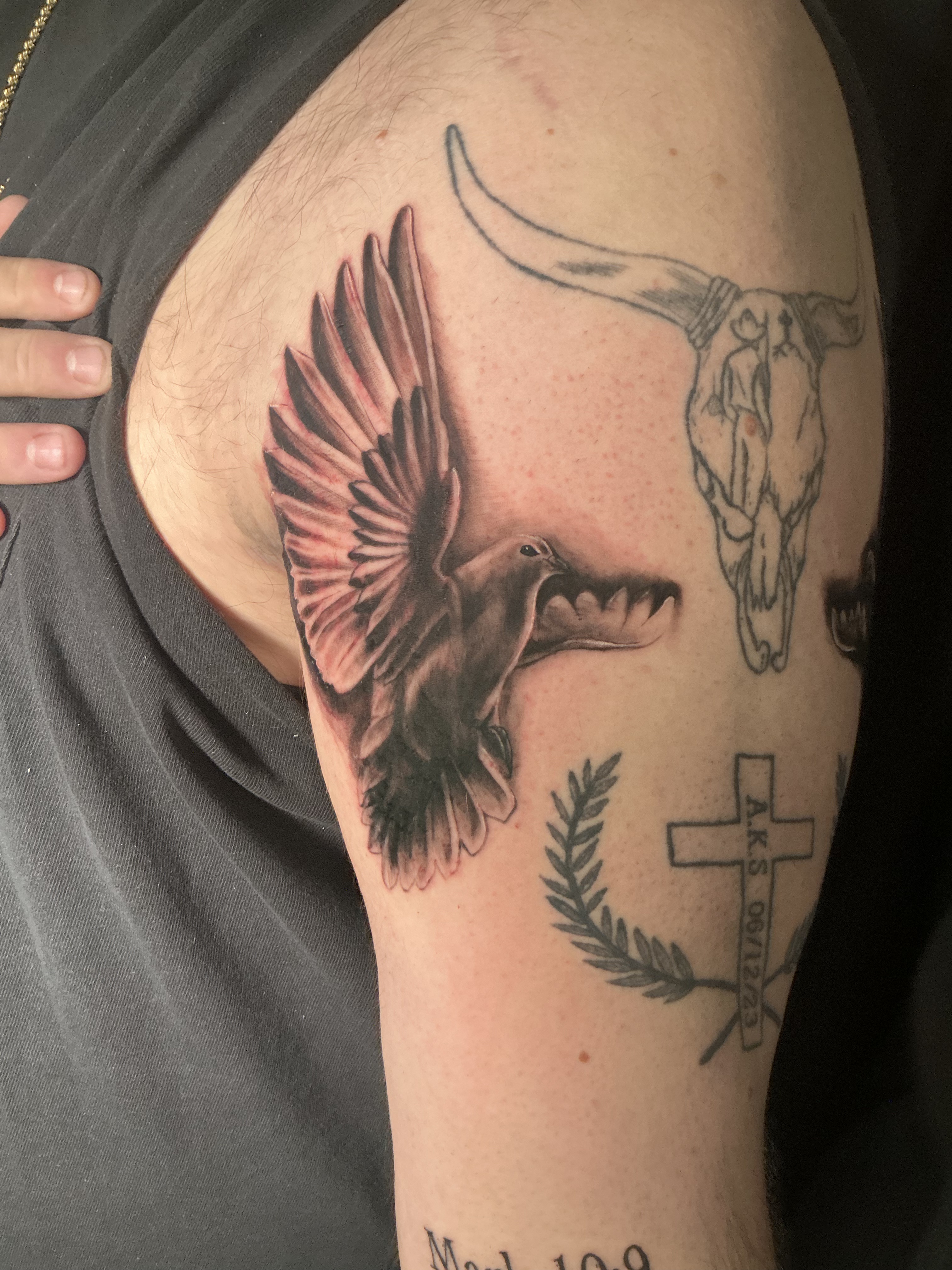 Black and grey wing tattoo on the upper arm