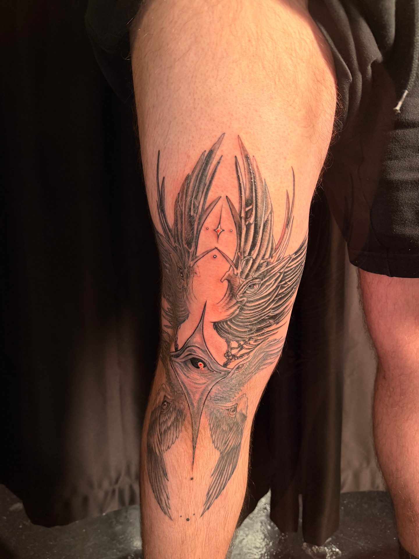 Black and grey phoenix and eagle leg tattoo, full composition
